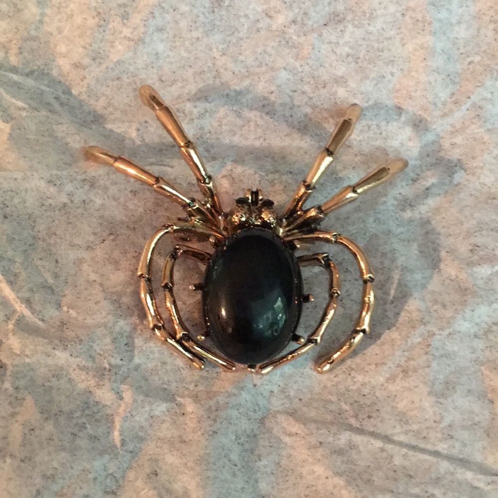 Spider brooch pin